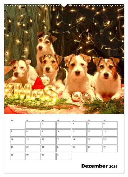 Produktbild: Tender Fellows - Parson Russell Terrier (Wandkalender 2026 DIN A2 hoch), CALVENDO Monatskalender