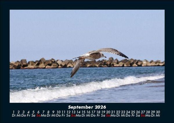 Produktbild: Str&auml;nde der Welt 2026 Fotokalender DIN A5