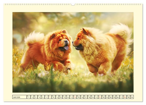 Produktbild: Chow Chow Momente. Fellpoesie aus dem Reich der Mitte (hochwertiger Premium Wandkalender 2026 DIN A2 quer), Kunstdruck in Hochglanz
