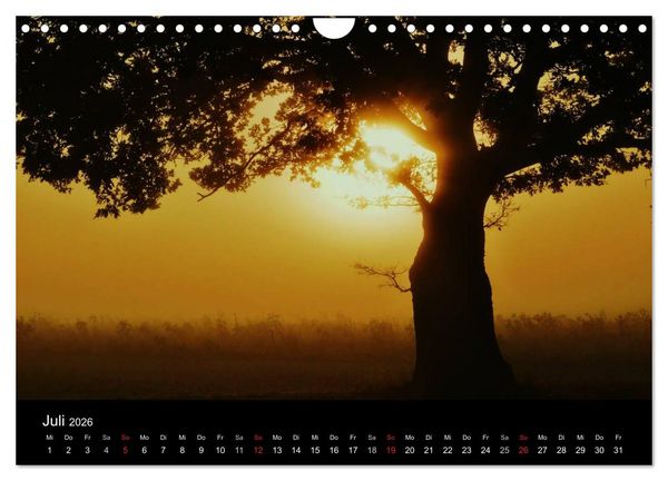 Produktbild: Faszination Wald. Waldimpressionen aus Nordhessen von Lutz Klapp (Wandkalender 2026 DIN A4 quer), CALVENDO Monatskalender