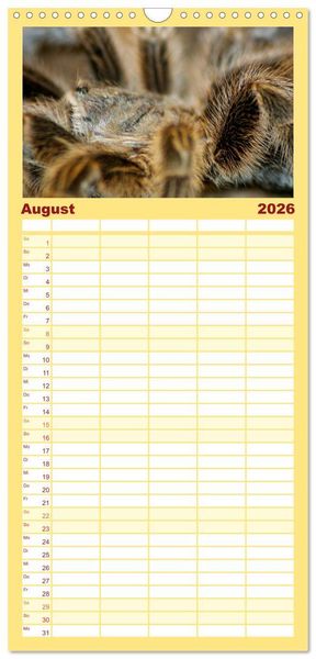 Produktbild: Familienplaner 2026 - Vogelspinnen mit 5 Spalten (Wandkalender, 21 x 45 cm) CALVENDO