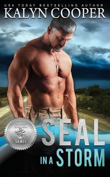 Produktbild: SEAL in a Storm