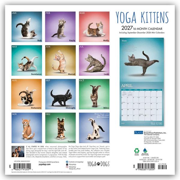 Produktbild: Yoga Kittens &ndash; K&auml;tzchen Yoga 2027 &ndash; 16-Monatskalender