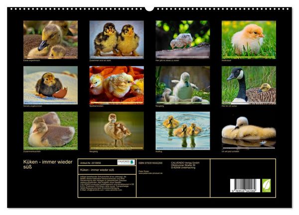 Produktbild: K&uuml;ken - immer wieder s&uuml;&szlig; (hochwertiger Premium Wandkalender 2026 DIN A2 quer), Kunstdruck in Hochglanz