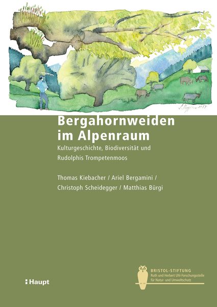 Produktbild: Bergahornweiden im Alpenraum