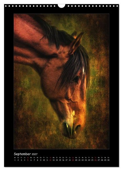 Produktbild: Art Horse 2027 (Wandkalender 2027 DIN A3 hoch), CALVENDO Monatskalender