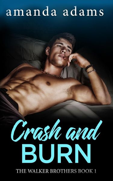 Produktbild: Crash and Burn