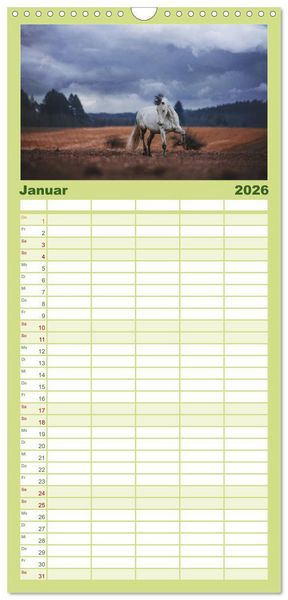 Produktbild: Familienplaner 2026 - Die Faszinierende Welt der Pferde mit 5 Spalten (Wandkalender, 21 x 45 cm) CALVENDO