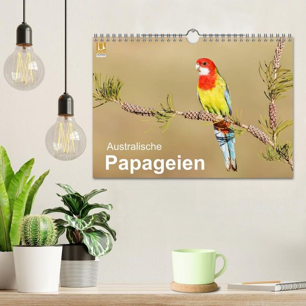 Produktbild: Australische Papageien (Wandkalender 2026 DIN A4 quer), CALVENDO Monatskalender