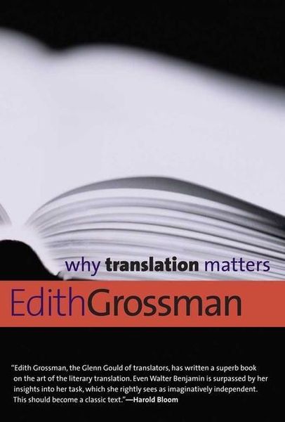Produktbild: Why Translation Matters