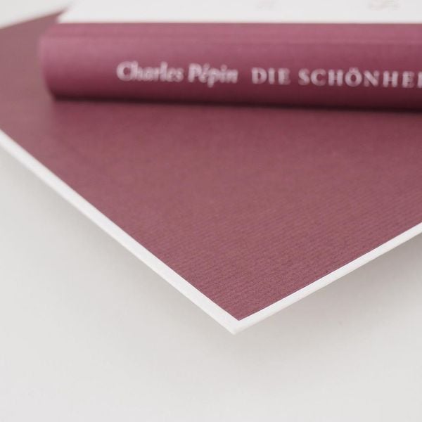 Produktbild: Die Sch&ouml;nheit des Scheiterns
