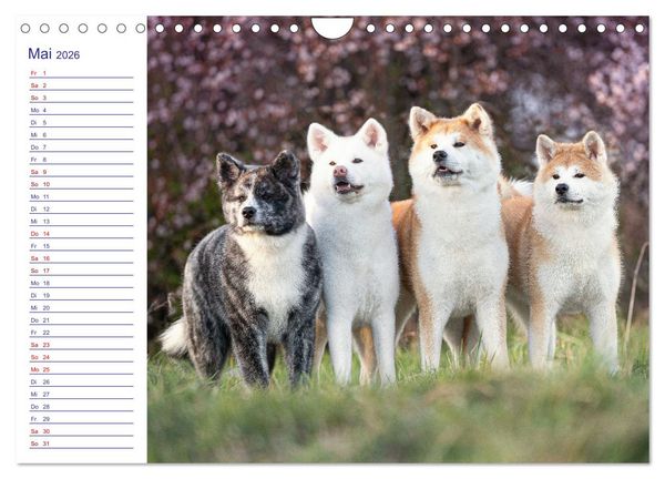 Produktbild: Japans Seelenhunde (Wandkalender 2026 DIN A4 quer), CALVENDO Monatskalender