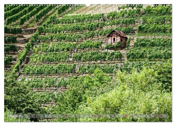 Produktbild: Weinbergh&auml;uschen - Schutz- und Werkzeughaus f&uuml;r den Weing&auml;rtner (hochwertiger Premium Wandkalender 2026 DIN A2 quer), Kunstdruck in Hochglanz