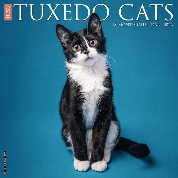 Produktbild: Tuxedo Cats 2026 Wall Calendar