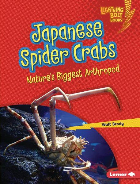 Produktbild: Japanese Spider Crabs