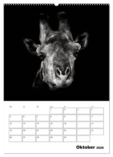 Produktbild: Charakterk&ouml;pfe aus der Welt der Tiere (hochwertiger Premium Wandkalender 2026 DIN A2 hoch), Kunstdruck in Hochglanz