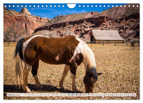 Produktbild: Der S&uuml;dwesten der USA - Rundreise (Wandkalender 2026 DIN A4 quer), CALVENDO Monatskalender