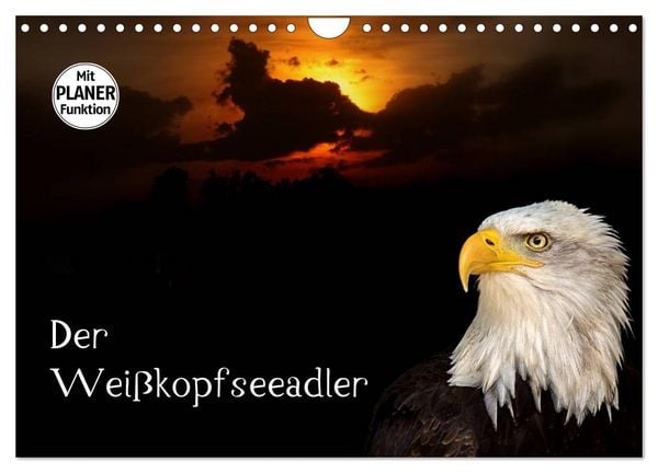 Der Weißkopfseeadler (Wandkalender 2026 DIN A4 quer), CALVENDO Monatskalender