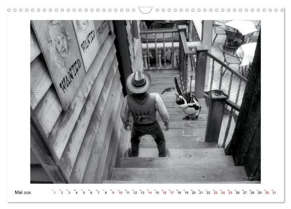 Produktbild: Pinguine privat (Wandkalender 2026 DIN A3 quer), CALVENDO Monatskalender