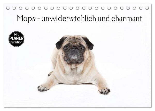 Produktbild: Mops - unwiderstehlich und charmant (Tischkalender 2026 DIN A5 quer), CALVENDO Monatskalender