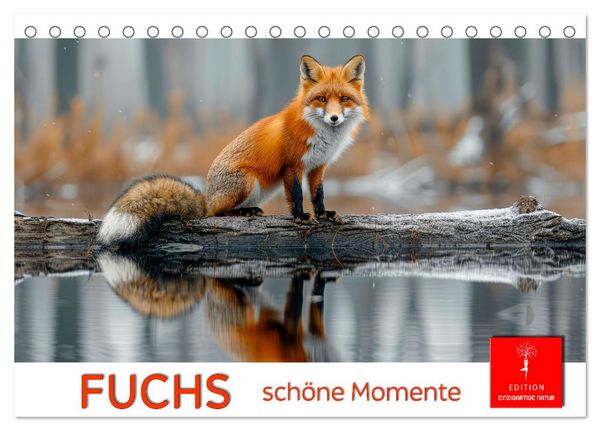 Produktbild: Fuchs - sch&ouml;ne Momente (Tischkalender 2026 DIN A5 quer), CALVENDO Monatskalender