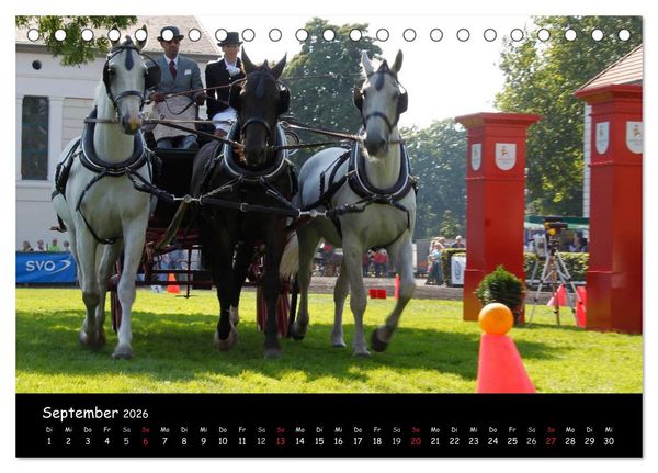 Produktbild: CIAT - Historischer Fahrsport in Celle (Tischkalender 2026 DIN A5 quer), CALVENDO Monatskalender