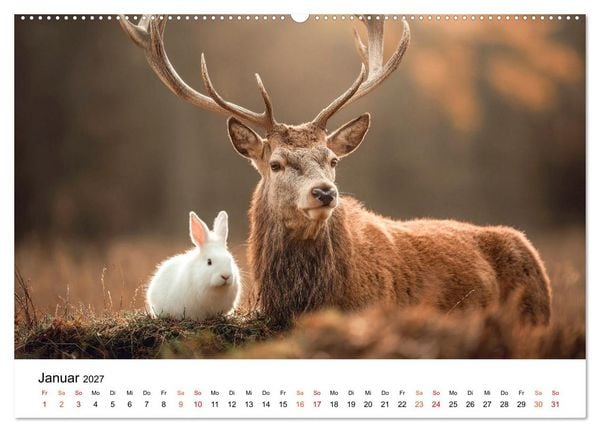 Produktbild: Beste Freunde - ein tierisch buntes Miteinander (hochwertiger Premium Wandkalender 2027 DIN A2 quer), Kunstdruck in Hochglanz