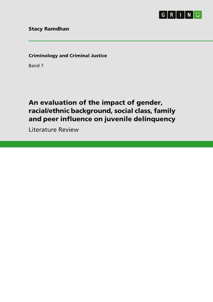 Produktbild: An evaluation of the impact of gender, racial/ethnic background, social class, family and peer influence on juvenile delinquency