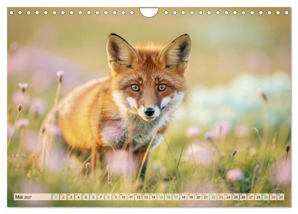 Produktbild: F&uuml;chse in Pastellfarben (Wandkalender 2027 DIN A4 quer), CALVENDO Monatskalender