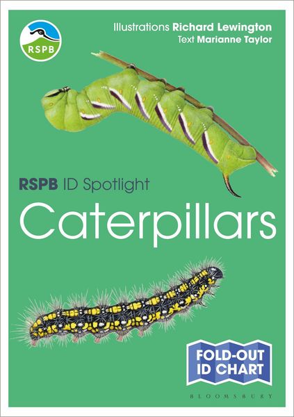 Produktbild: RSPB ID Spotlight - Caterpillars