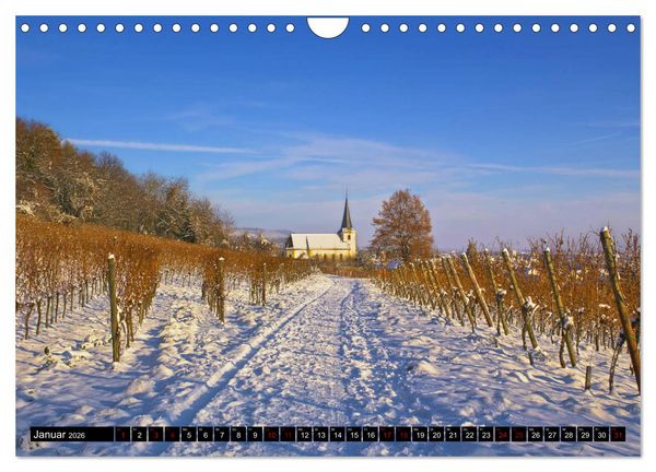 Produktbild: Augenschmaus Pfalz (Wandkalender 2026 DIN A4 quer), CALVENDO Monatskalender
