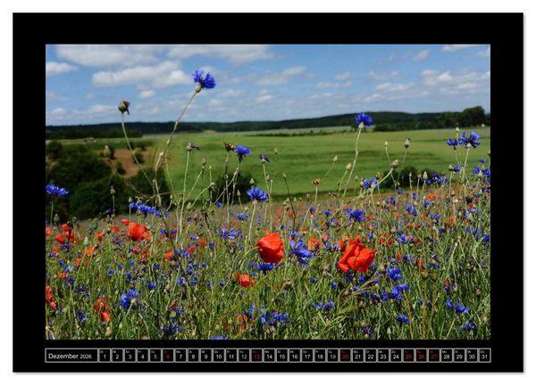 Produktbild: Roter Mohn, bunte Wiesen (Wandkalender 2026 DIN A4 quer), CALVENDO Monatskalender