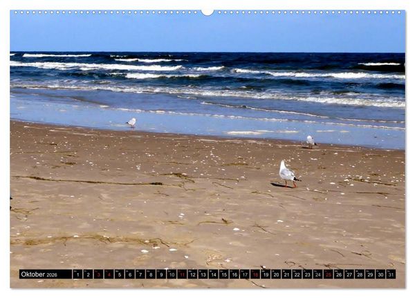 Produktbild: USEDOM - Seeb&auml;der und Naturparadies (Wandkalender 2026 DIN A2 quer), CALVENDO Monatskalender
