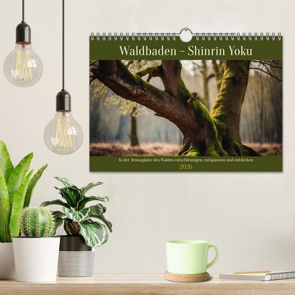 Produktbild: Waldbaden - Shinrin Yoku (Wandkalender 2026 DIN A4 quer), CALVENDO Monatskalender