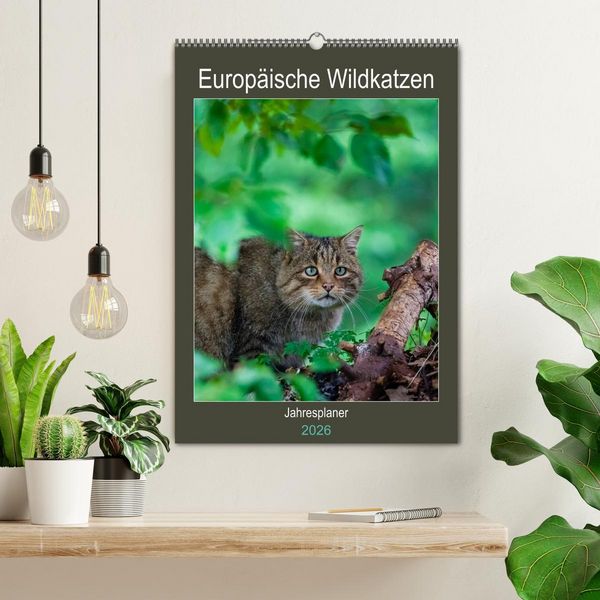 Produktbild: Europ&auml;ische Wildkatzen - Jahresplaner (Wandkalender 2026 DIN A2 hoch), CALVENDO Monatskalender
