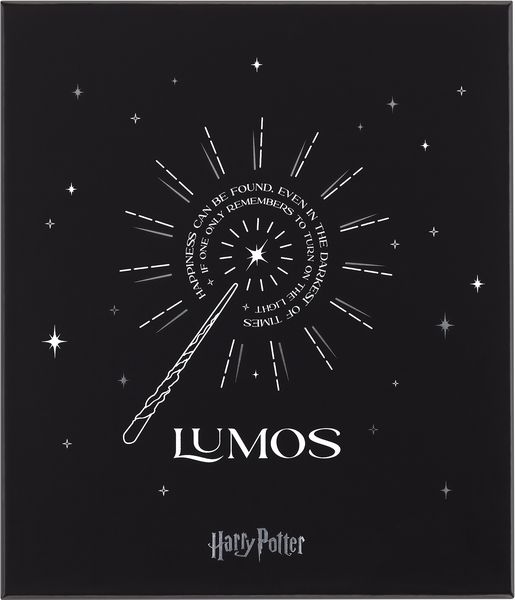 Produktbild: Harry Potter Notizbuch Set Wingardium mit Kaweco Roll Pen&nbsp;