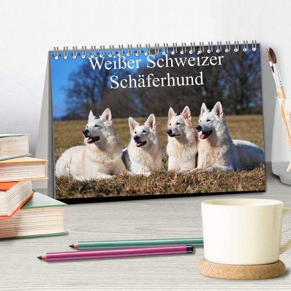 Produktbild: Wei&szlig;er Schweizer Sch&auml;ferhund (Tischkalender 2026 DIN A5 quer), CALVENDO Monatskalender