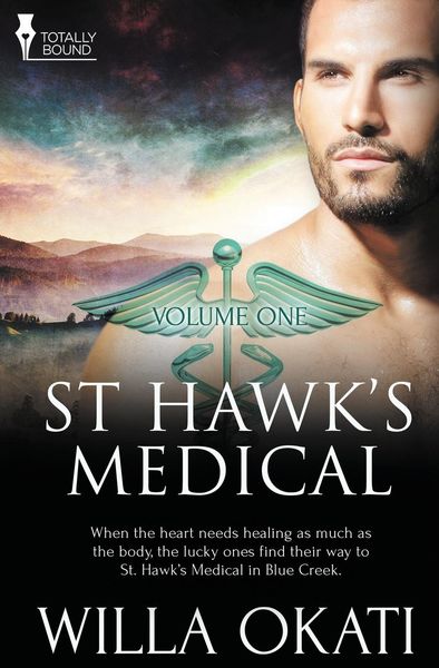 St. Hawk's Medical