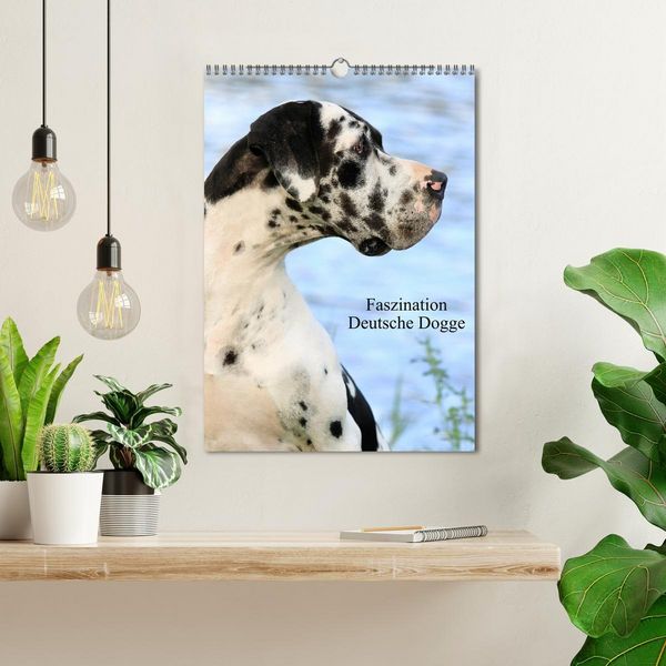 Produktbild: Faszination Deutsche Dogge (Wandkalender 2026 DIN A3 hoch), CALVENDO Monatskalender