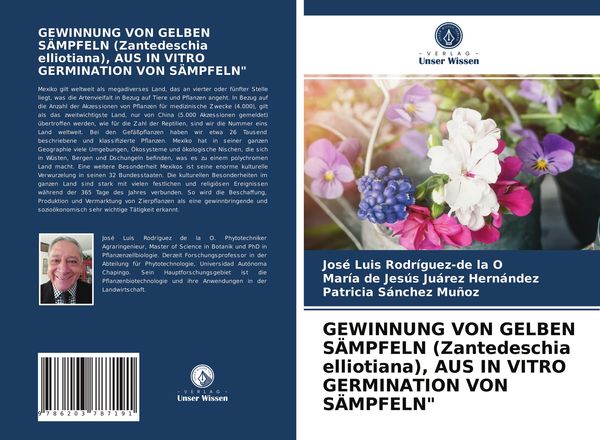 Produktbild: Gewinnung von Gelben S&auml;mpfeln (zantedeschia Elliotiana), Aus in Vitro Germination von S&auml;mpfeln"