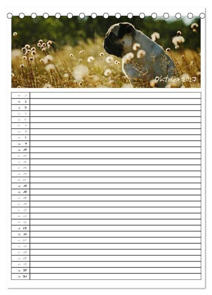 Produktbild: Der mopsige Familienplaner (Tischkalender 2027 DIN A5 hoch), CALVENDO Monatskalender