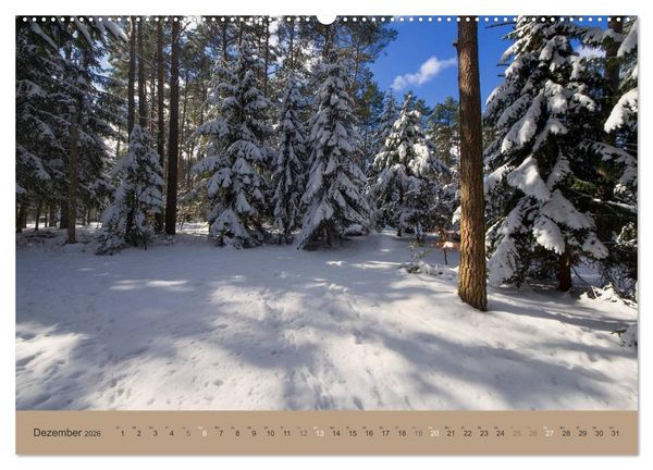 Produktbild: Unser Wald - Magische Sichten in norddeutsche W&auml;lder (hochwertiger Premium Wandkalender 2026 DIN A2 quer), Kunstdruck in Hochglanz