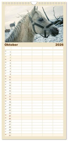Produktbild: Familienplaner 2026 - Pferde - kraftvolle Eleganz mit 5 Spalten (Wandkalender, 21 x 45 cm) CALVENDO