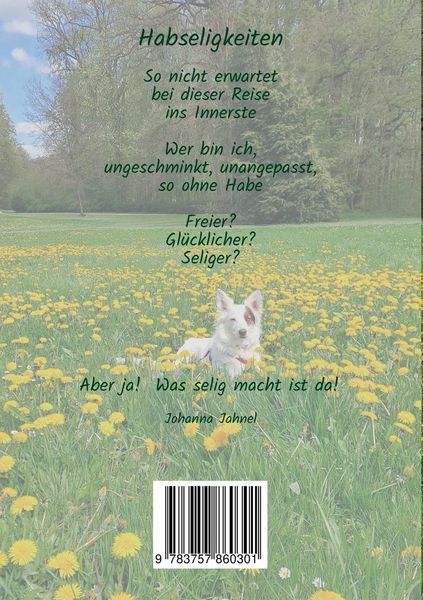 Produktbild: Gl&uuml;ck und andere Momente