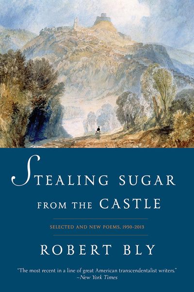 Produktbild: Stealing Sugar from the Castle