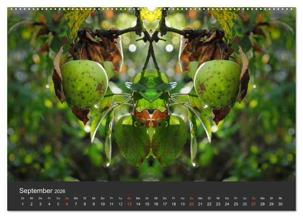 Produktbild: Spiegelwelten - Im Reich der Naturwesen (Wandkalender 2026 DIN A2 quer), CALVENDO Monatskalender