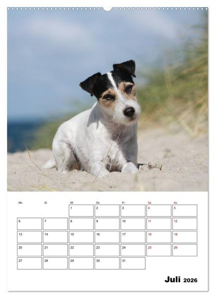 Produktbild: Tender Fellows - Parson Russell Terrier (Wandkalender 2026 DIN A2 hoch), CALVENDO Monatskalender