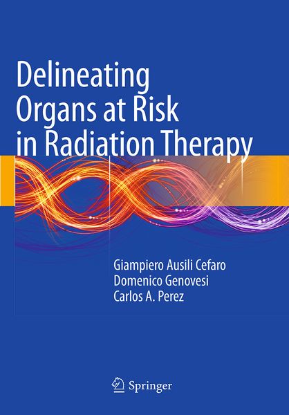 Produktbild: Delineating Organs at Risk in Radiation Therapy