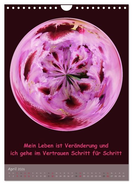 Produktbild: Meditative Natur (Wandkalender 2026 DIN A4 hoch), CALVENDO Monatskalender
