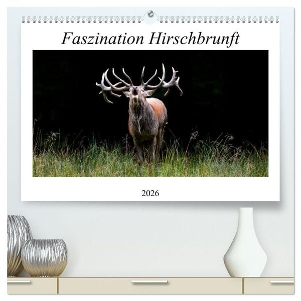 Faszination Hirschbrunft (hochwertiger Premium Wandkalender 2026 DIN A2 quer), Kunstdruck in Hochglanz